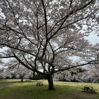 Photo taken at 泉自然公園 by DAIKI F. on 4/8/2024