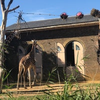 Photo taken at ZSL London Zoo by Rimaz w. on 9/13/2018