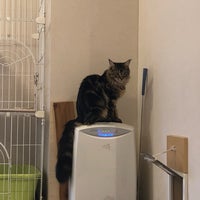 麻生 猫カフェ 福猫茶房 北区北40条西5 1 39