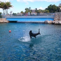 9/30/2016 tarihinde Linda d.ziyaretçi tarafından Dolphin Academy'de çekilen fotoğraf