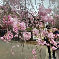 Photo taken at Ueno Park by 箱 on 3/31/2022