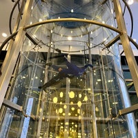 Photo taken at Gravity Indoor Skydiving by Hassan A. on 11/17/2023
