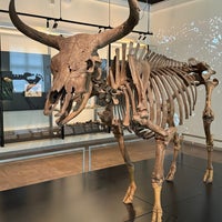 Photo taken at National Museum of Denmark by FLASHland on 3/5/2024