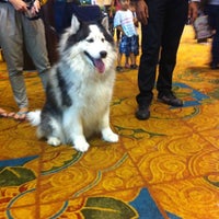 Photo taken at Pet Expo 2014 by arthur S. on 5/30/2014