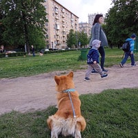 Photo taken at Сквер на набережной Шевченко by Denis G. on 5/24/2021