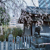 Photo taken at 荻窪白山神社 by 涼 鈴. on 3/26/2023