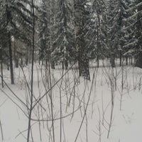 Photo taken at какашечный лес by Андрей Ф. on 2/24/2015