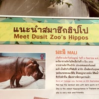 Photo taken at Dusit Zoo by Ae P. on 9/30/2018