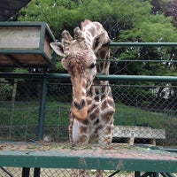 福岡市動物園 Fukuoka City Zoological Garden Zoo 福岡市動物園 Fukuoka City Zoological Garden Zoo