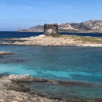 Spiaggia Della Pelosetta 2 Tips