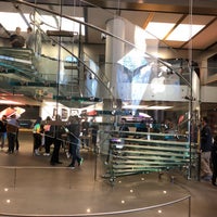 Photo taken at Apple Carrousel du Louvre by Sergey D. on 9/29/2018