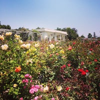 Rose Garden Tea Room San Marino Ca