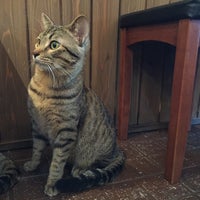 和風桶猫喫茶 和風桶猫喫茶