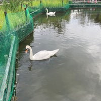 Photo taken at Arakawa Shizen Park by 禿 on 7/8/2023