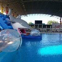 Pusat Akuatik Darul Ehsan (Aquatic Centre) - Shah Alam ...