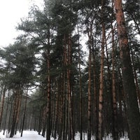 Photo taken at Парк Александрино by Кристина А. on 2/22/2022