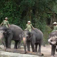 Photo taken at Tangs Elephant Parade by Alona F. on 1/20/2013