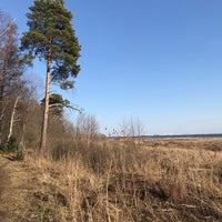 Photo taken at Заказник «Северное побережье Невской губы» by Аня А. on 4/20/2021