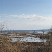 Photo taken at Заказник «Северное побережье Невской губы» by Аня А. on 4/20/2021