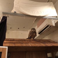 Cafe Hoot Hoot Cafe Cafe Hoot Hoot Cafe