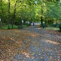 Vogelpark Hambrucken Zoo In Forst