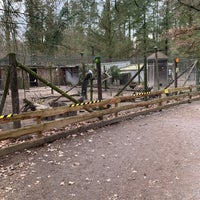 Vogelpark Hambrucken Zoo In Forst