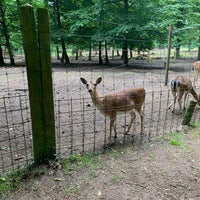 Vogelpark Hambrucken Zoo In Forst
