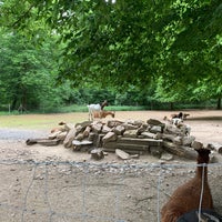Vogelpark Hambrucken Zoo In Forst