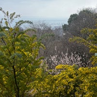 Photo taken at Nunobiki Herb Garden Park by илья к. on 3/21/2024
