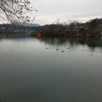 庄原上野池公園 Park