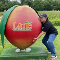 Снимок сделан в Lane Southern Orchards пользователем Lokah M. 6/22/2021