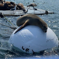 Das Foto wurde bei San Diego SEAL Tours von Lokah M. am 9/25/2023 aufgenommen