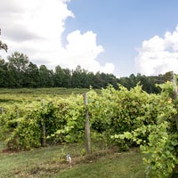 Foto tirada no(a) Landry Vineyards por Landry Vineyards em 10/3/2017