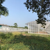 Photo taken at แปลงเกษตร(คณะเทคโนโลยีการเกษตร) by 🦄 on 10/29/2017
