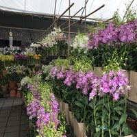Photo taken at Siam Orchid Center by Curtis T. on 2/9/2018