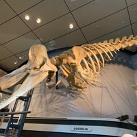 Photo taken at The Whaling Museum by Gretchen N. on 8/8/2023