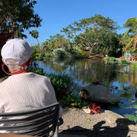 2/7/2023にGretchen N.がNaples Botanical Gardenで撮った写真