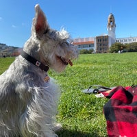 Photo taken at Dolores Park Dog Run Area by Eddie on 5/20/2020