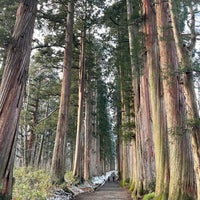 戸隠神社 奥社杉並木 長野市 長野県 戸隠神社 奥社杉並木 長野市 長野県