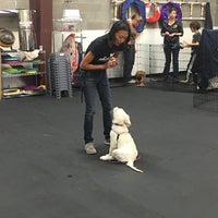 Photo taken at Ahimsa Dog Training by Lin C. on 8/26/2018
