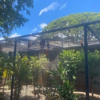 Foto tirada no(a) Honolulu Zoo por Lin C. em 8/28/2022