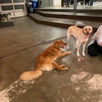 Photo taken at Dogwood Indoor Dog Park by Lin C. on 12/21/2019