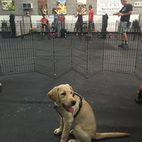 Photo taken at Ahimsa Dog Training by Lin C. on 8/23/2018