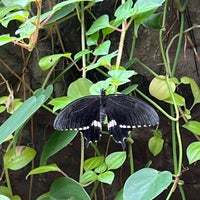 Photo taken at Butterfly Garden by N K. on 2/21/2024
