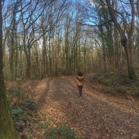 Photo taken at Atatürk Arboretumu by Ç. Y. on 12/9/2017