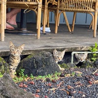 Photo taken at Hanalei Dolphin Restaurant by Pichet O. on 10/4/2021