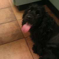 banfield ward parkway