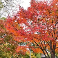 Photo taken at 藤田邸跡公園 by ほにい部 屋. on 11/14/2022