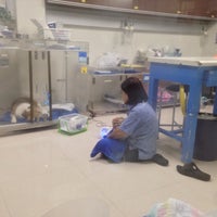 Photo taken at Thonglor Pet Hospital by Pum B. on 9/16/2018