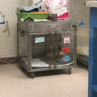 Photo taken at Thonglor Pet Hospital by Pum B. on 9/29/2018